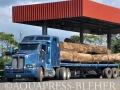 05_As soon as we entered the Darién, truckloads with giant logs_one after the other_Panama