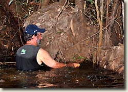 Caño Sardiña