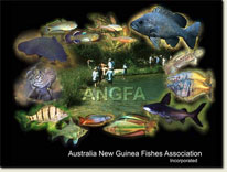 ANGFA 2011 Convention