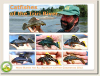 Lectures at the All Catfish Convention 2012