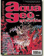 aqua geographia-17