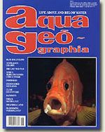 aqua geographia-4