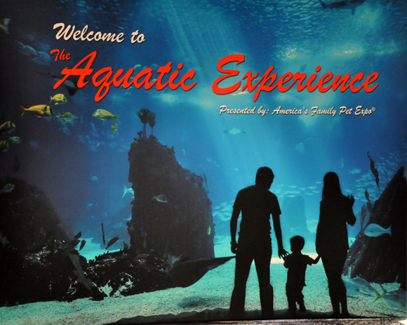 01 Aquatic-Experience-2013