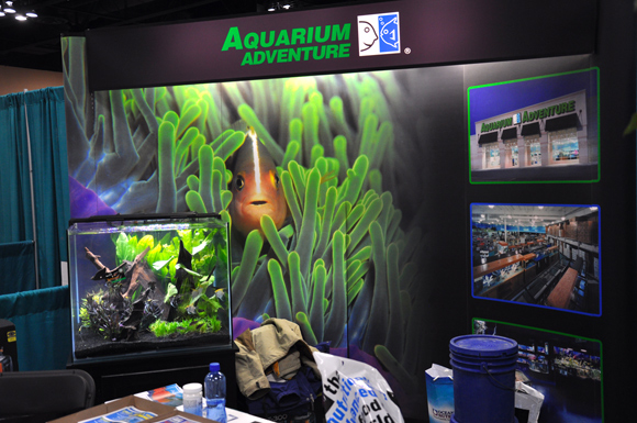 09C Aquatic-Experience-2013