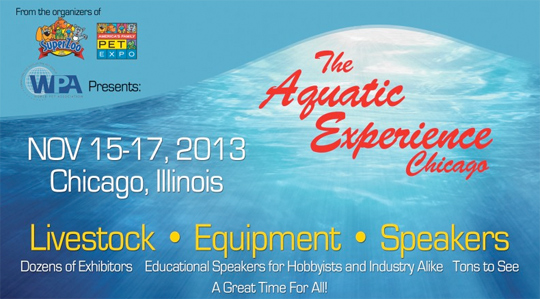 Aquatic Experience – Chicago 2013