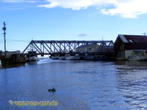 Black River Fluss-Expedition