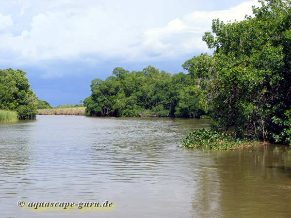 Bild3 pantano bassa