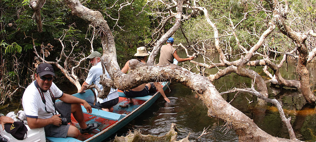 Rio Sauvaudaua, Upper Araca, Rio Negro region, Brazil