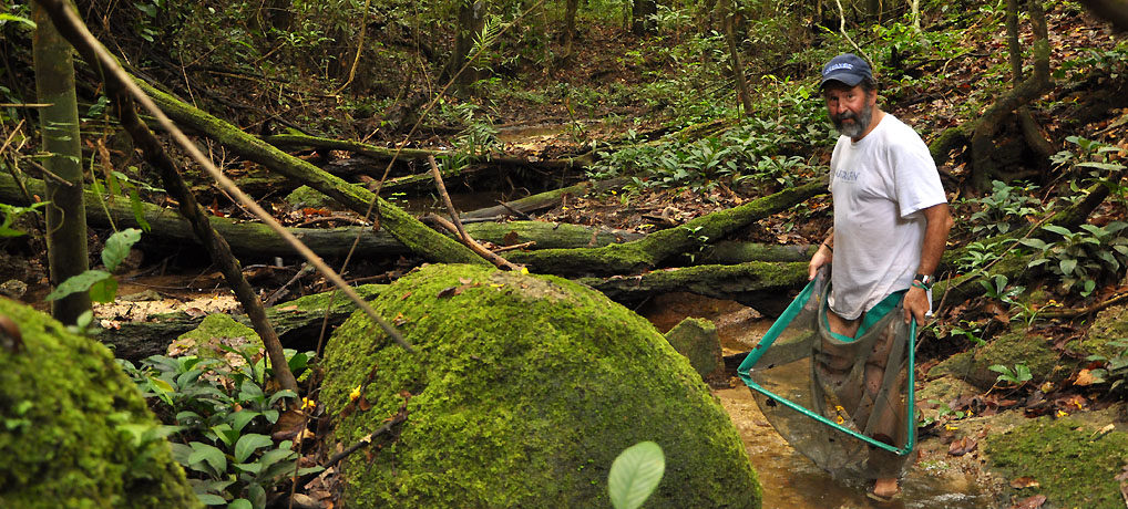 Collecting in Apaporis, Colombia