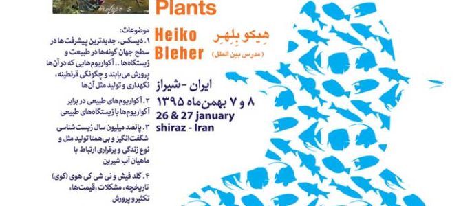 CONFERENCES AT SHIRAZ, IRAN