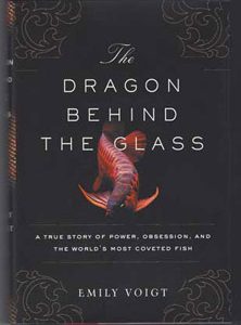 The Dragon Behind the Glass by Emily Voigt